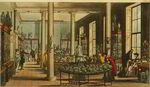 GFD 2/22: Wedgwood’s Rooms (Bildtafel in «Ackermann’s Repository of Arts», 1809)