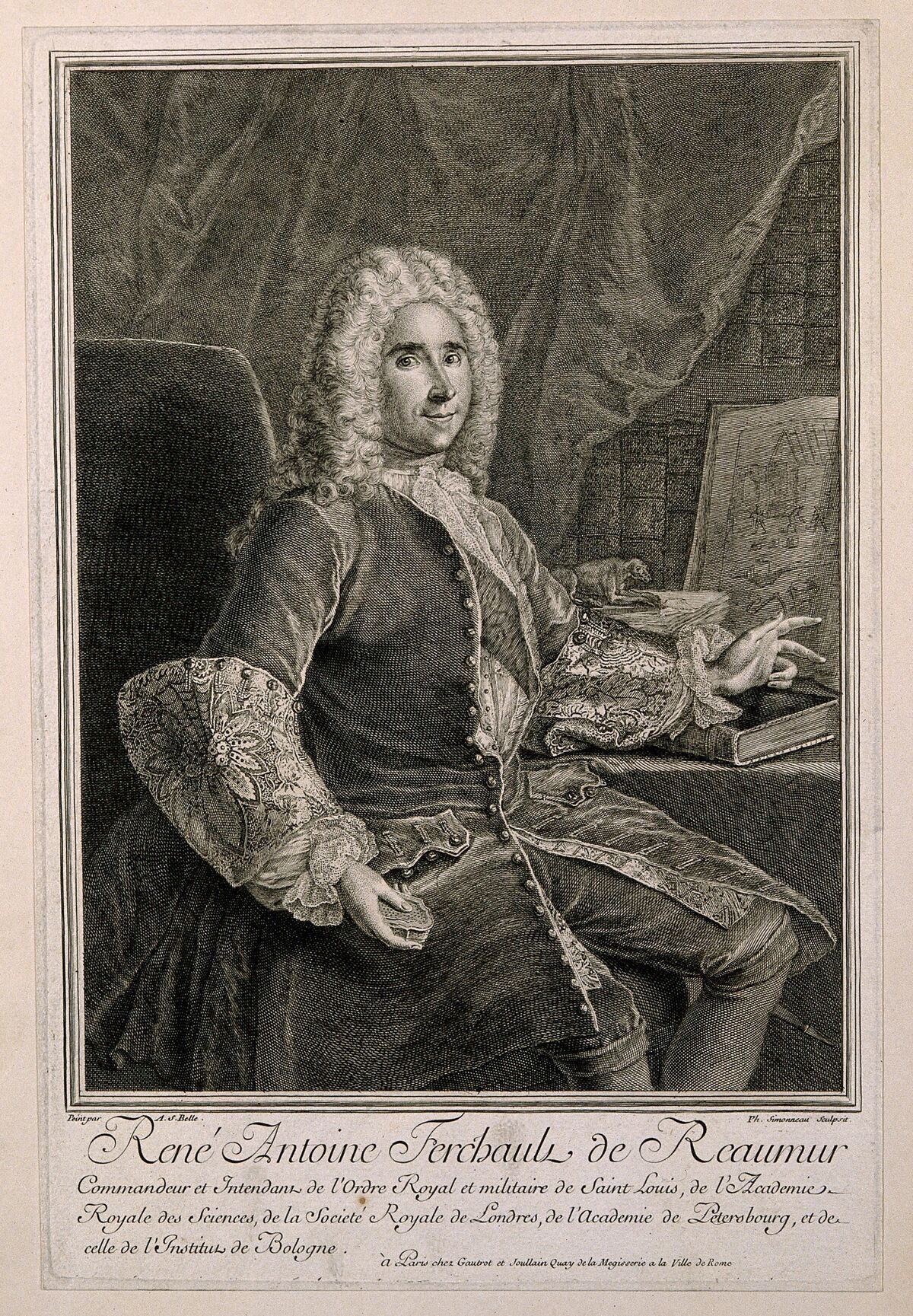 GFD 1/137: René-Antoine Ferchault de Réaumur (Portrait von P. Simonneau nach A. S. Belle, um 1730)