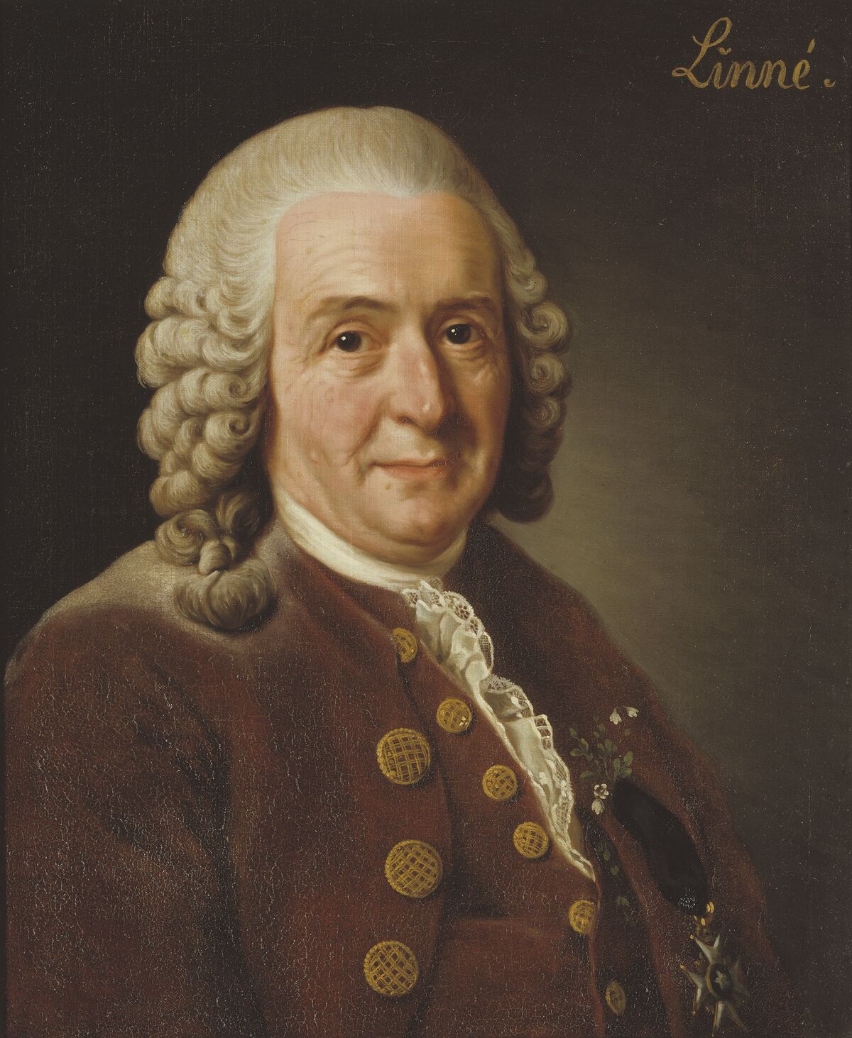 GFD 1/28: Carl von Linné (Portrait von Alexander Roslin, 1775)