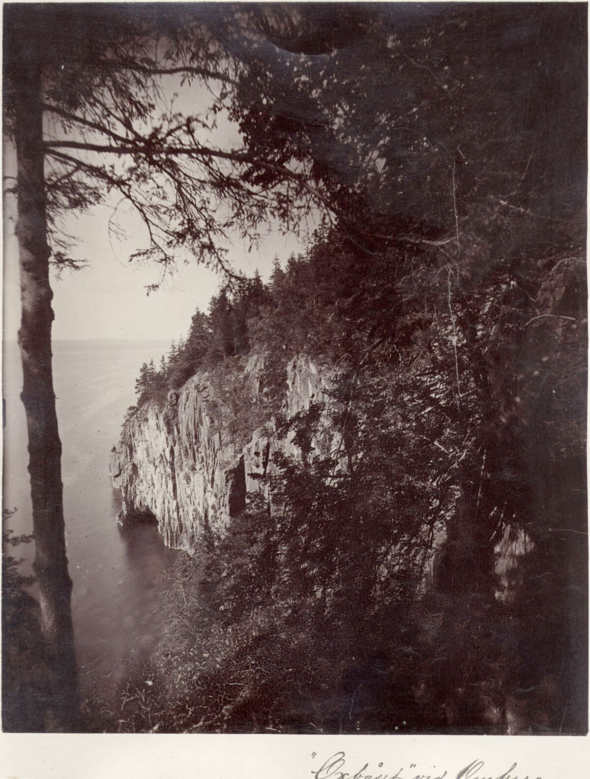 GFD 2/3: Omberg am Vätternsee in Östergötland (Foto von Carl Curman, 1889)