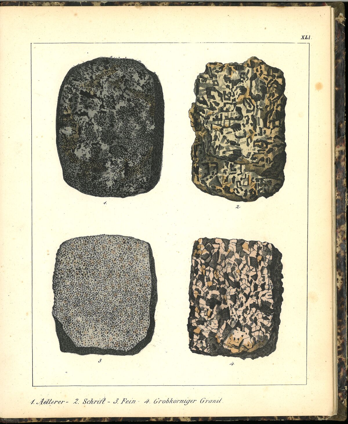 GFD 3/195: Häufig vorkommende Formen von Granit (Bildtafel aus Schmidts Mineralienbuch, 1855)
