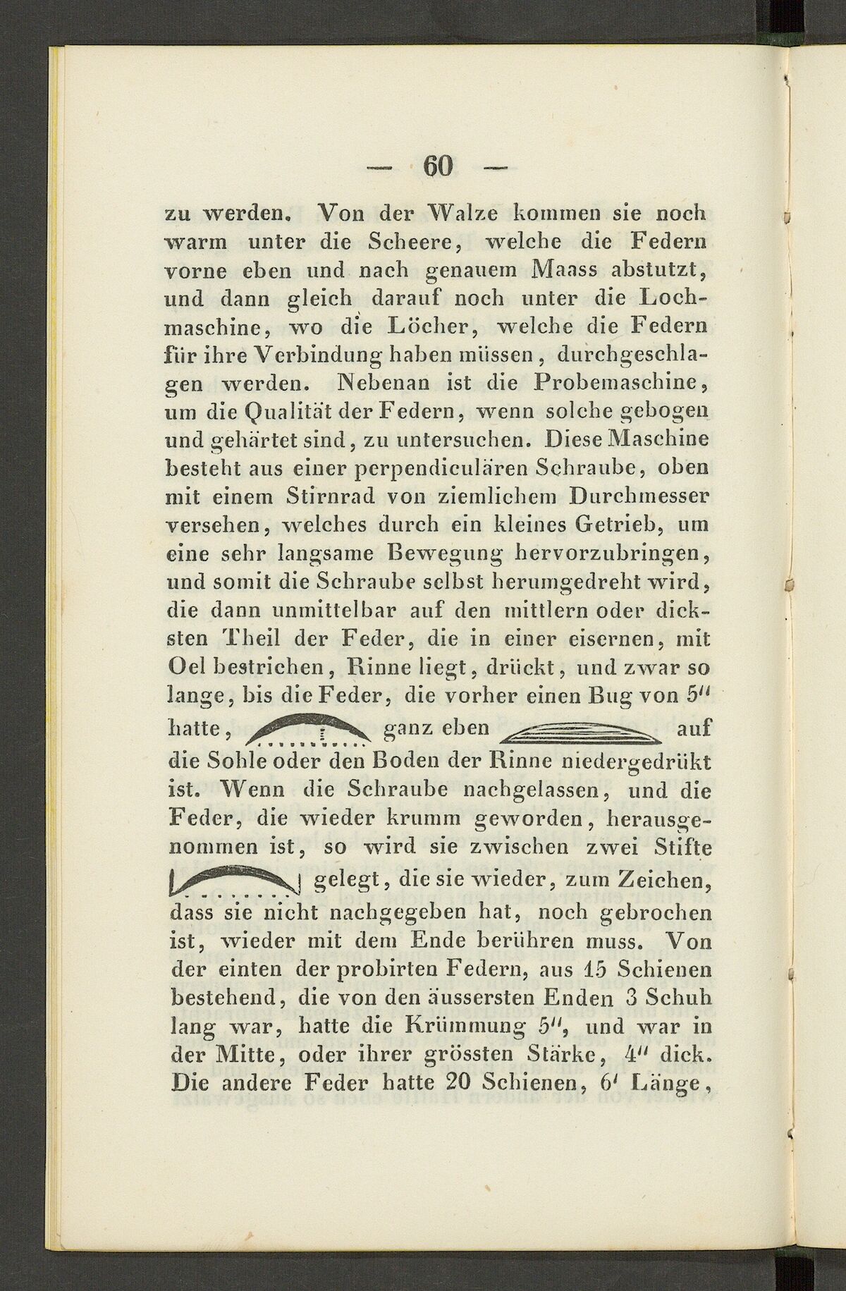 GFD 3/230: Skizzen von Blattfedern (Fischers Reisetagebuch 1846, Seite 60)